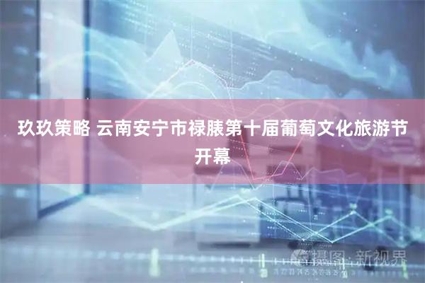 玖玖策略 云南安宁市禄脿第十届葡萄文化旅游节开幕