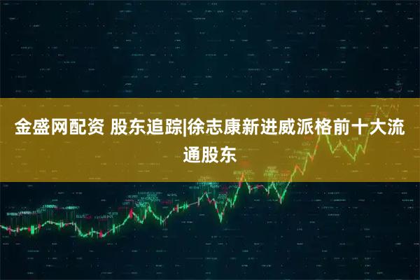 金盛网配资 股东追踪|徐志康新进威派格前十大流通股东
