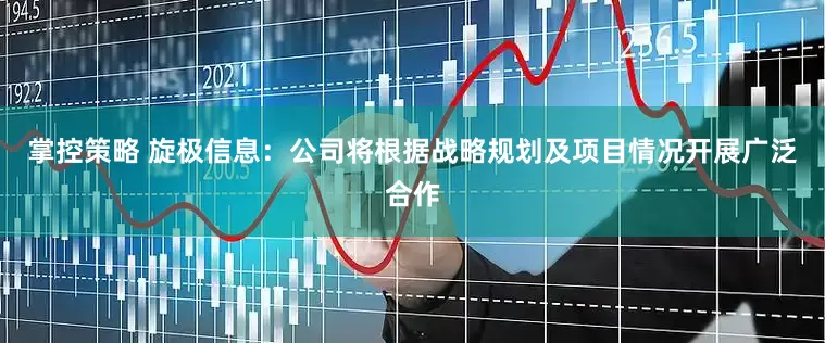 掌控策略 旋极信息：公司将根据战略规划及项目情况开展广泛合作